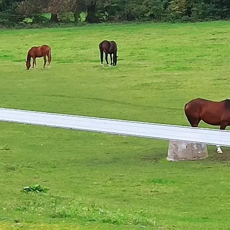 Lejlighed Fe'wo, Strandnah, Ueckermuende3ps,1hund,stettiner Haff, *