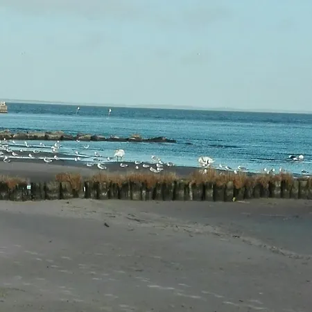 Fe'wo, Strandnah, Ueckermuende3ps,1hund,stettiner Haff, Ueckermünde